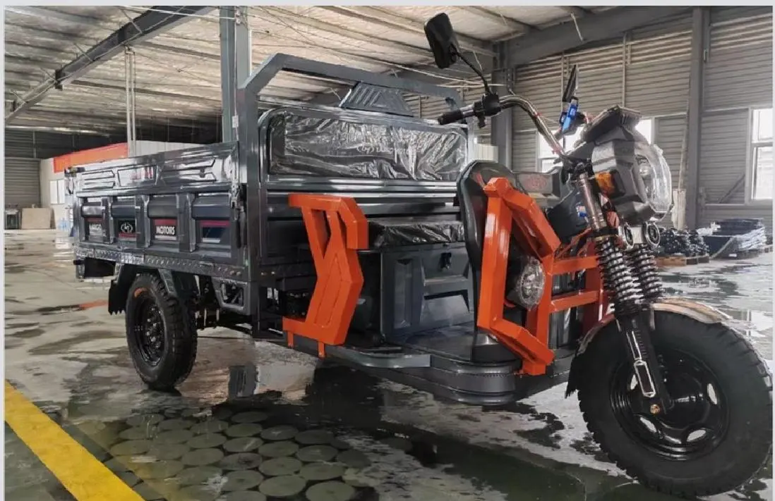 DJ-1.8M Electric Cargo Tricycle with Optional Dump Bed