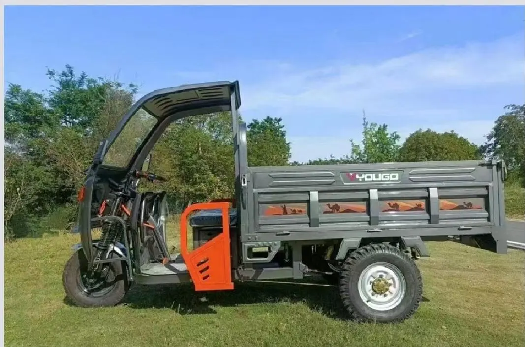 DJ-1.6M Electric Cargo Tricycle with Canopy